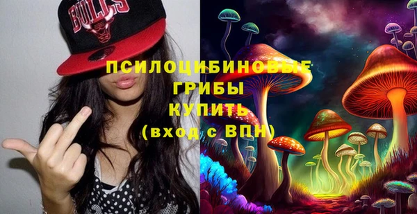 mdma Новодвинск