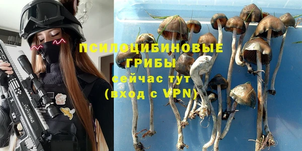 марки nbome Новокубанск