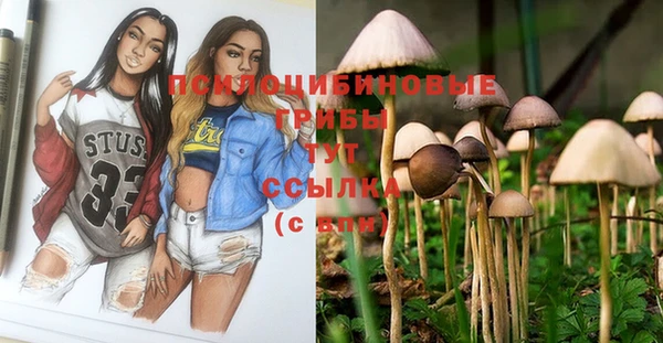 марки nbome Новокубанск