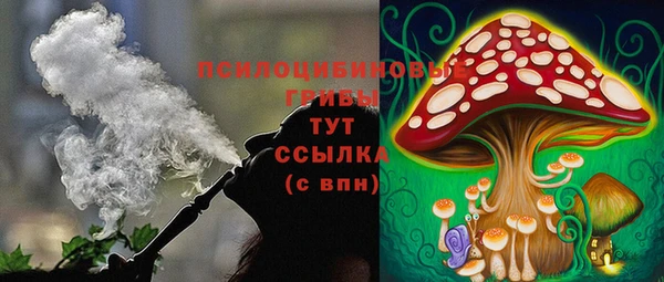 mdma Новодвинск